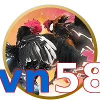 vn58