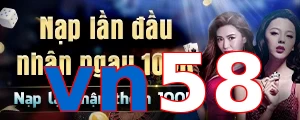 vn58